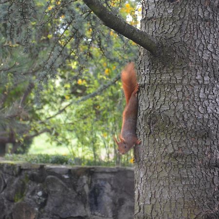 Domaine Insolite Du Petit Moras Chomérac Exteriér fotografie